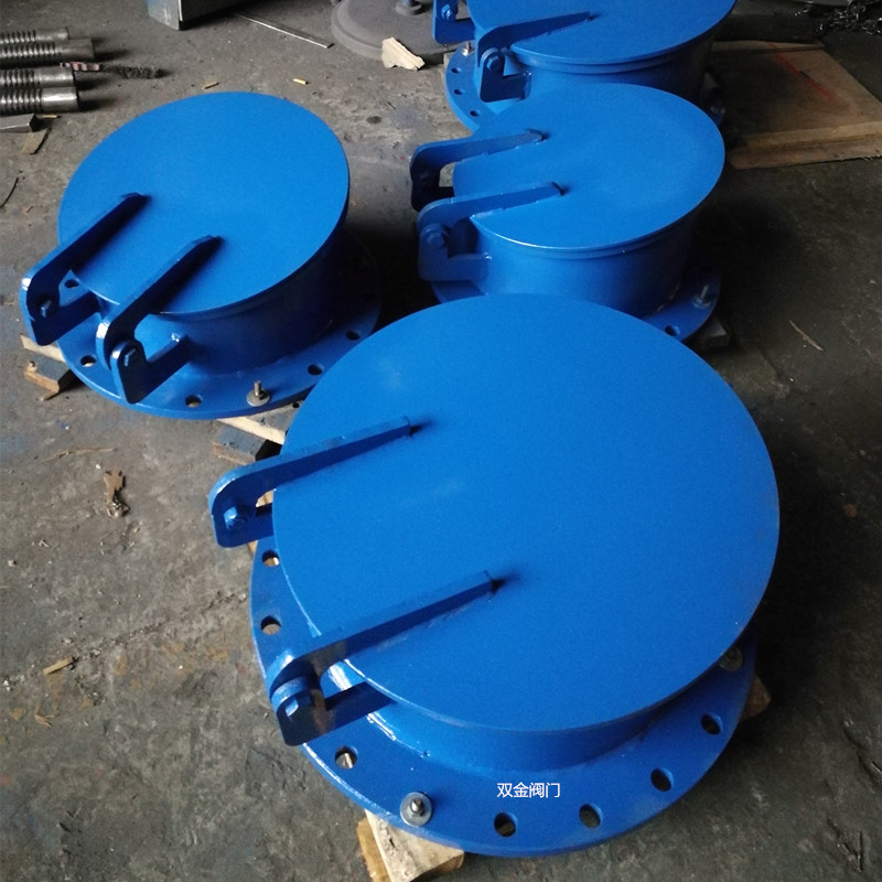 1631340737334746.jpg 浮箱式拍門(mén)20190831.jpg